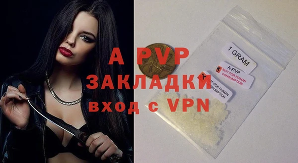 шишки Дмитровск