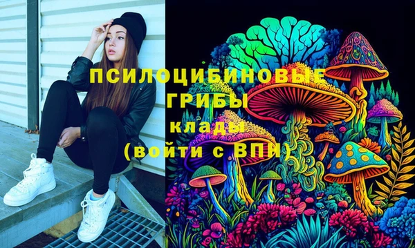 каннабис Гусиноозёрск