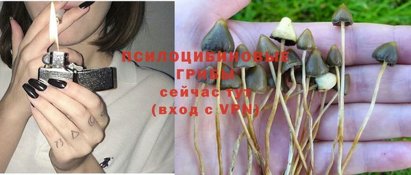 первитин Беломорск