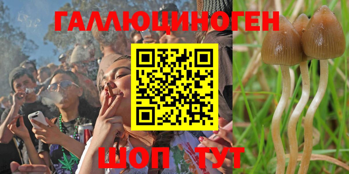 где купить наркоту  Видное  Галлюциногенные грибы ЛСД 