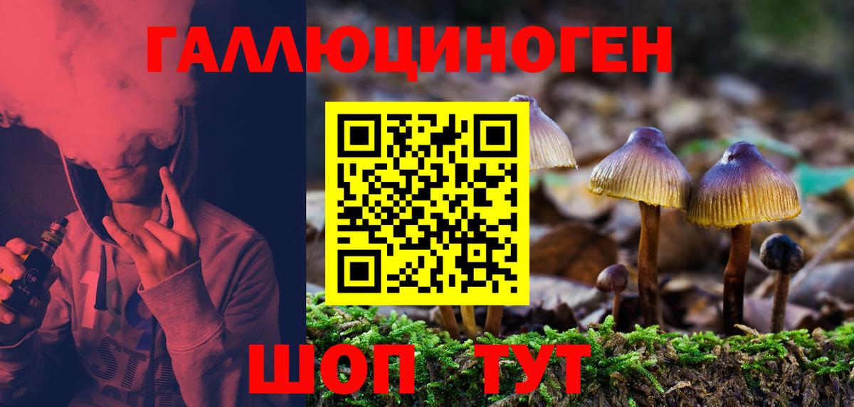Видное  Псилоцибиновые грибы GOLDEN TEACHER  Вход с VPN 