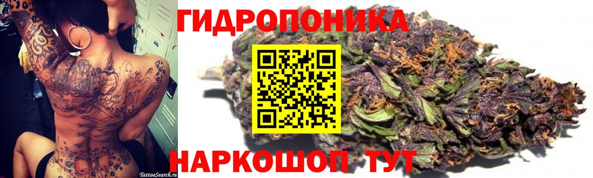 Видное  Конопля сатива  Бошки Шишки планчик  Вход с VPN 